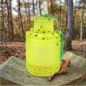 import placeholder for 1819