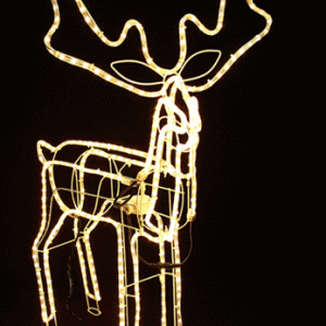 import placeholder for 1972