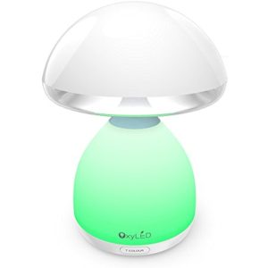 import placeholder for 538