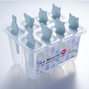 6 pcs ice lolly tray